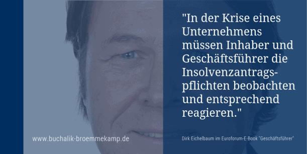Dirk Eichelbaum im Euroform-Ebook "Geschäftsführer"